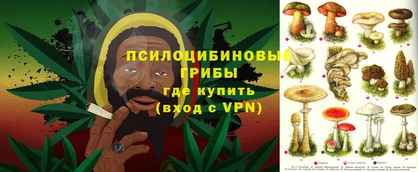 молекула духа Абинск