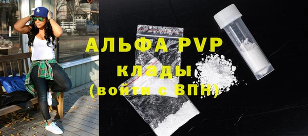 ПСИЛОЦИБИНОВЫЕ ГРИБЫ Инта