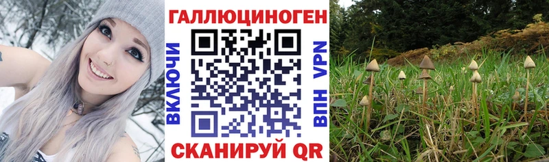 Псилоцибиновые грибы GOLDEN TEACHER  Агидель 